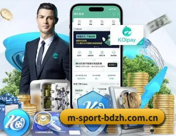 半岛综合 APP 深度功能
